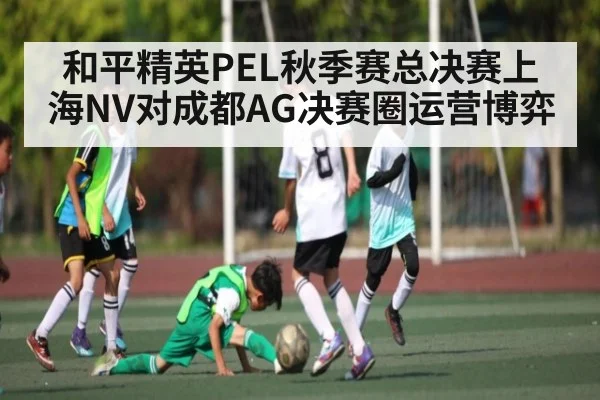 和平精英PEL秋季赛总决赛上海NV对成都AG决赛圈运营博弈